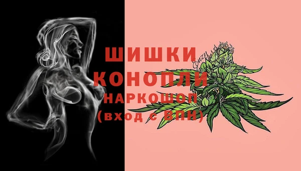PSILOCYBIN Козельск