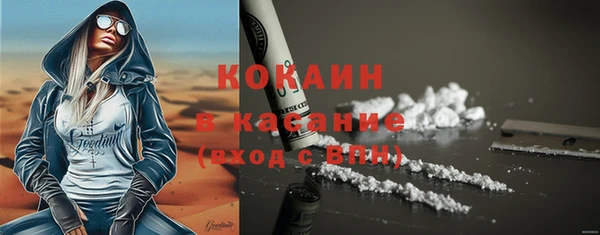 ПСИЛОЦИБИНОВЫЕ ГРИБЫ Козловка