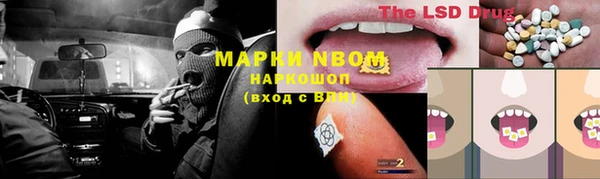 ПСИЛОЦИБИНОВЫЕ ГРИБЫ Козловка