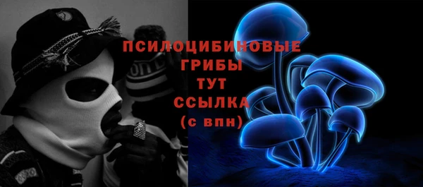 PSILOCYBIN Козельск