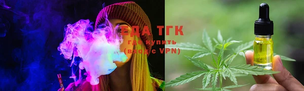 ПСИЛОЦИБИНОВЫЕ ГРИБЫ Козловка