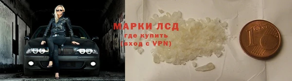 ПСИЛОЦИБИНОВЫЕ ГРИБЫ Козловка