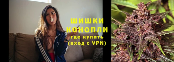 ПСИЛОЦИБИНОВЫЕ ГРИБЫ Козловка